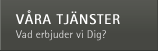 V&aring;ra tj&auml;nster